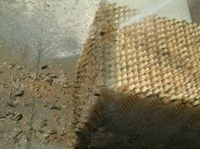 清洗斜管填料